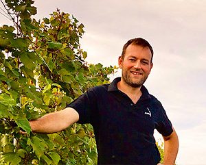 Weinberg vom Weingut Deltetto, Piemont, Italien Weinberg vom Weingut Deltetto, Piemont, Italien