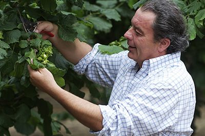 José von Papa dei Boschi, Piemont, Italien